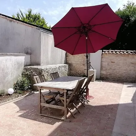Les Roses Tremieres Saujon